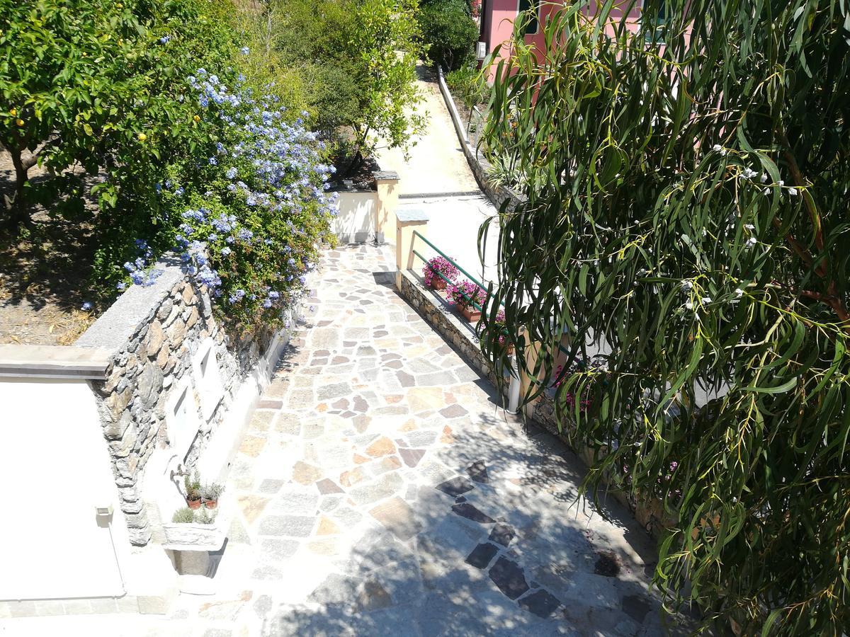 알라시오 La Campagnetta B&B 외부 사진